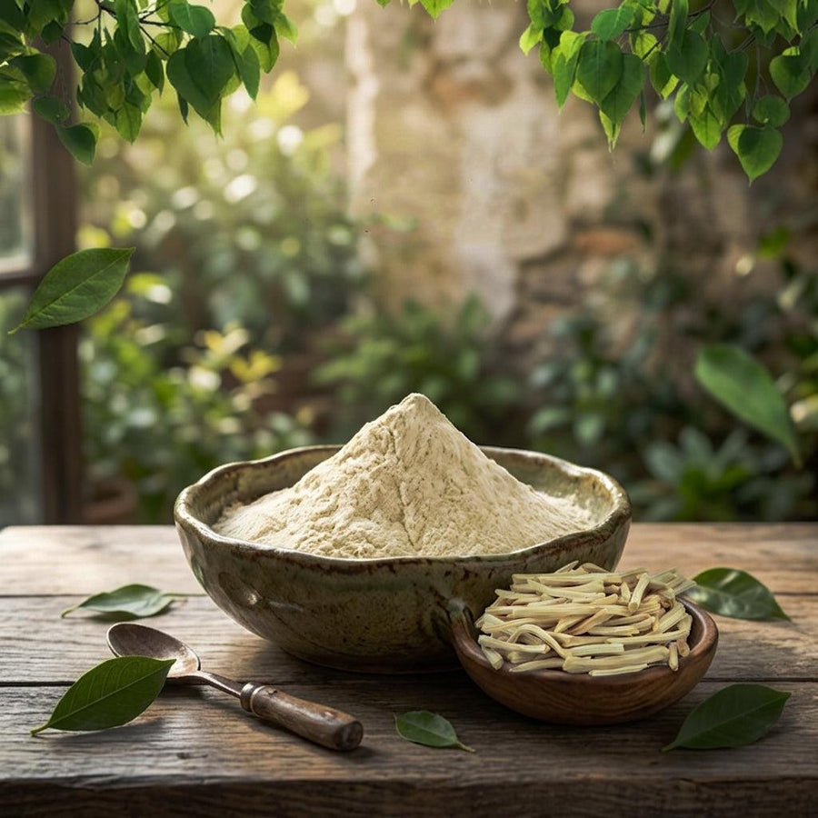 Shatavari Powder